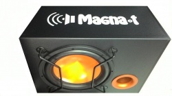 Subwoofer 300mm  MAGNA-T GT-1202  
